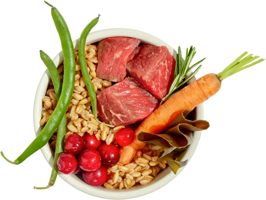 Ingredients slider bowl
