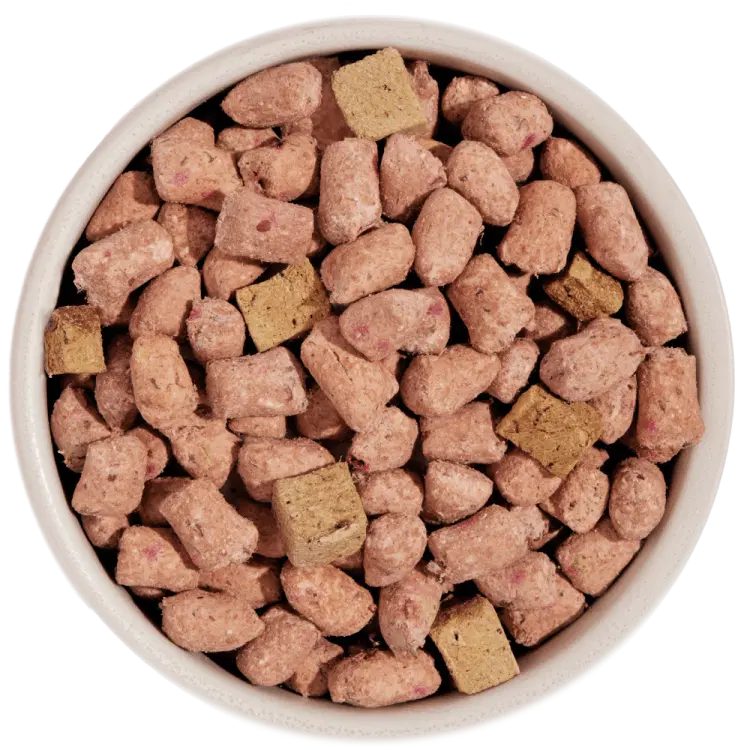 UnKibble slider bowl